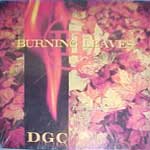 Burning Leaves