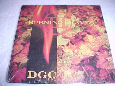 Burning Leaves